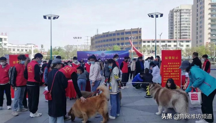 潍坊市奎文区第五届宠物产业会展暨世界兽医日宣传活动