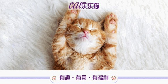 注意！猫咪如果像狗子一样张大嘴巴喘气，不一定只是热的