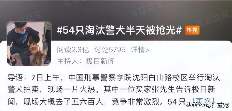 那些考公失败的准警犬才是真正的狗生赢家丢分原因太意外！