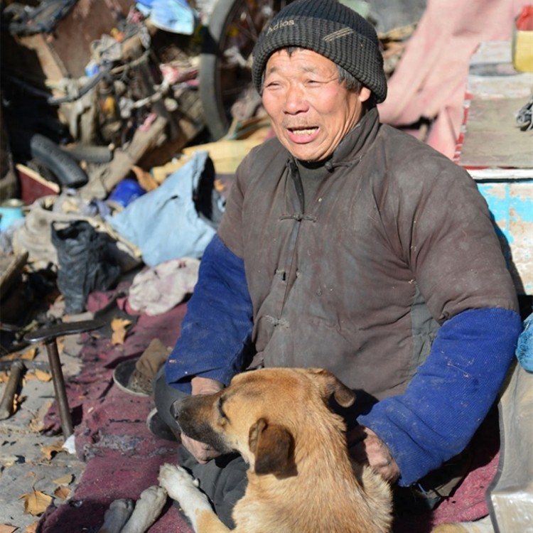 中华田园犬被残疾老人饲养，一人一狗相依为命