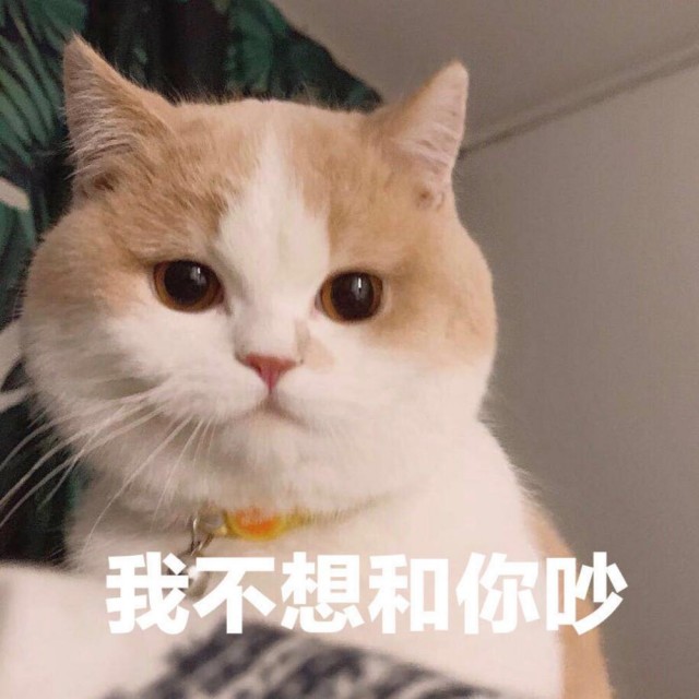 买猫容易养猫难，这6种猫，建议您谨慎购买