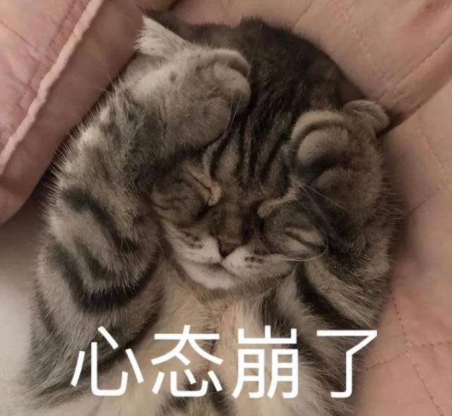 买猫容易养猫难，这四种猫都很可怕，要小心养！